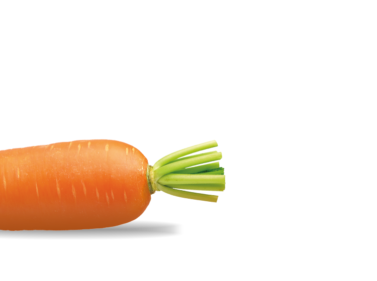 a bright orange carrot