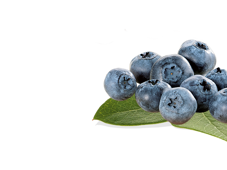Blueberries