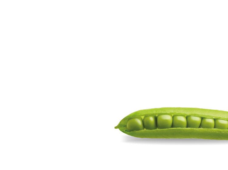 green peas in an open pod