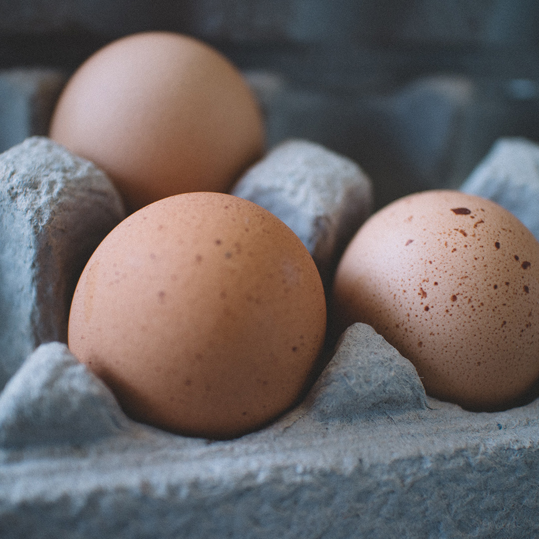 A case of eggs with 3 eggs in it